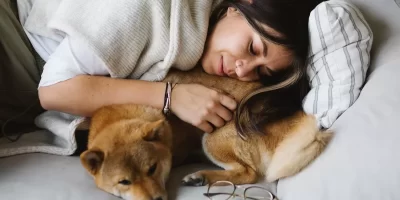 chien-dormir-3.webp